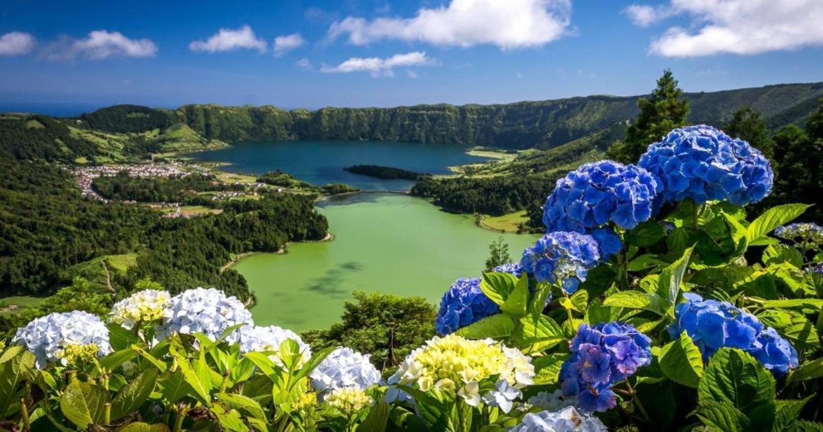 Barrocas Villas Azores Sao Roque  Exterior photo